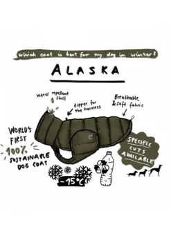 Dog Coat Alaska - Olive