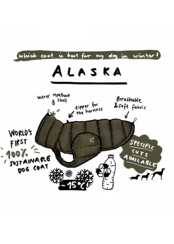 Dog Coat Alaska - Olive