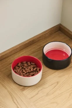 Hay Dogs Bowl
