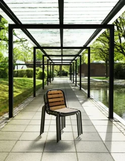 Vig Chair Robinia