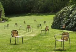 Vig Chair Robinia