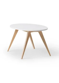 Wood PingPong Bord